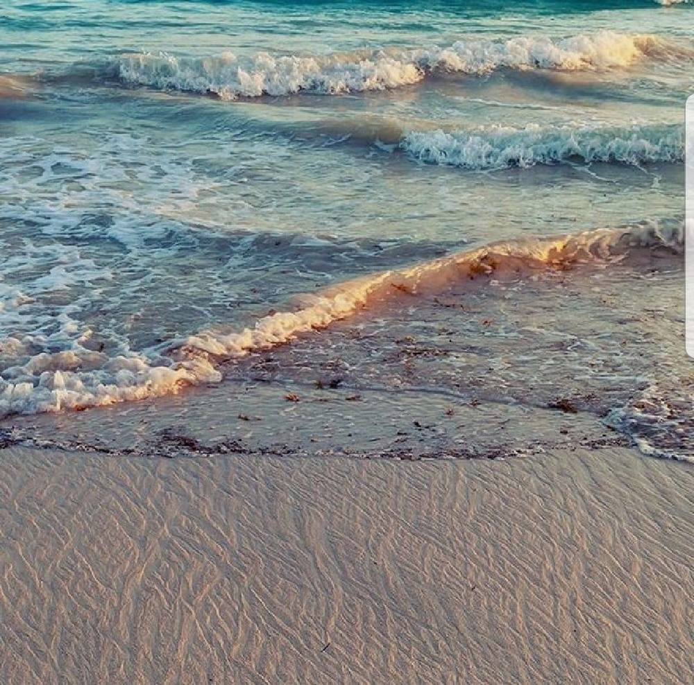 Meet your Posher, Jenn